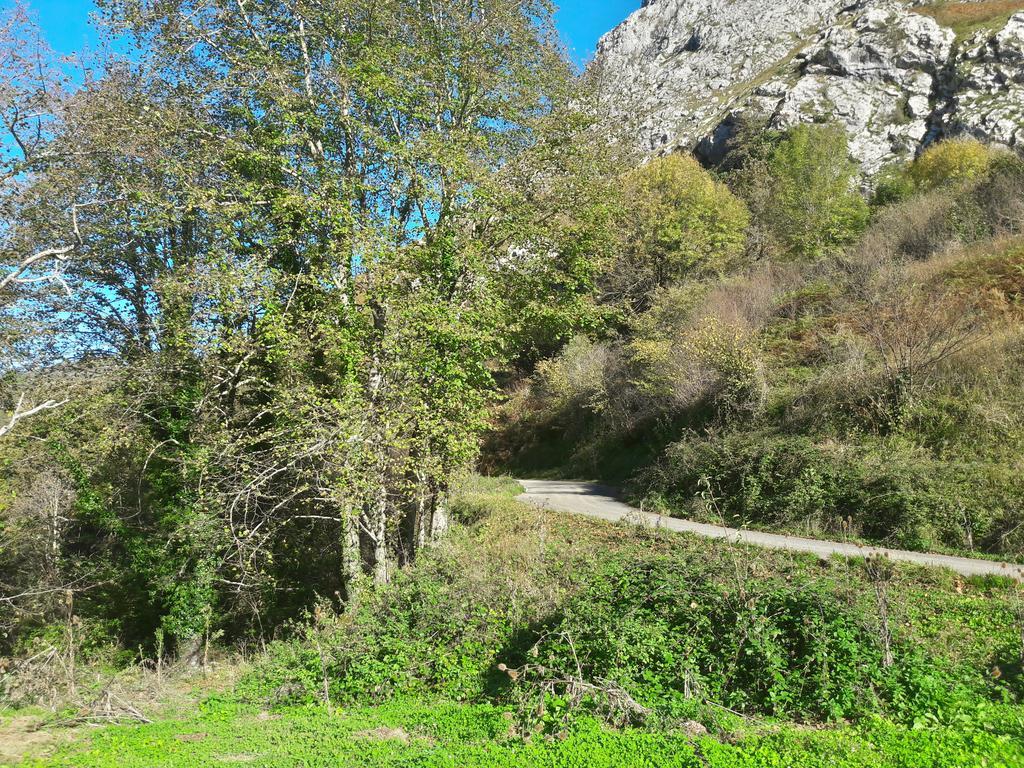 La Casina De Tonita Hébergement de vacances Cazo